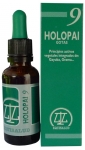 Holopai